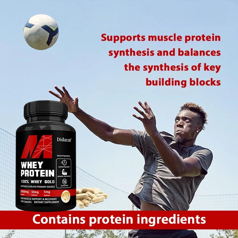 Whey Protein Capsules for Muscle Recovery Support