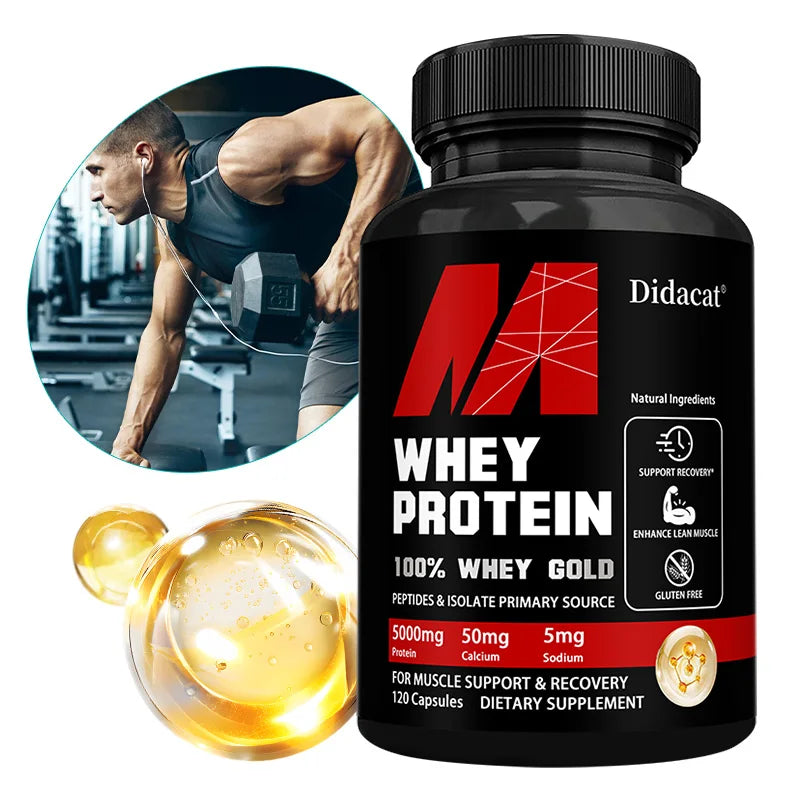 Whey Protein Capsules for Muscle Recovery Support