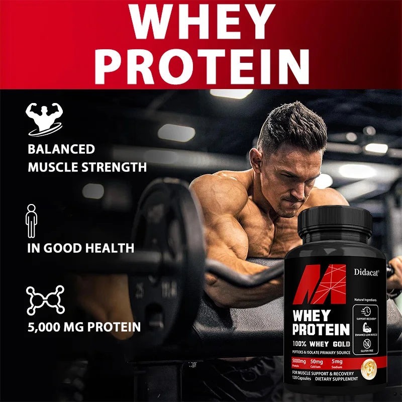 Whey Protein Capsules for Muscle Recovery Support