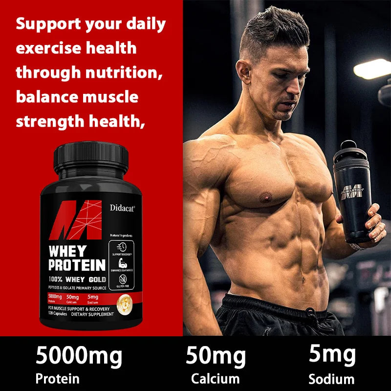 Whey Protein Capsules for Muscle Recovery Support